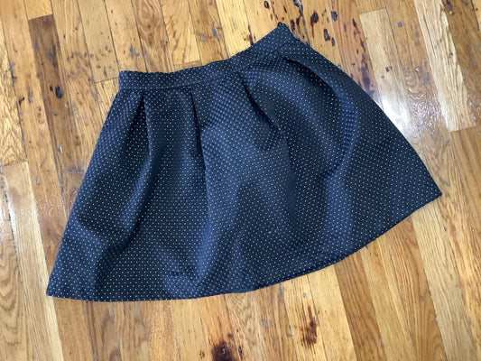 Women’s Size Large Skirt